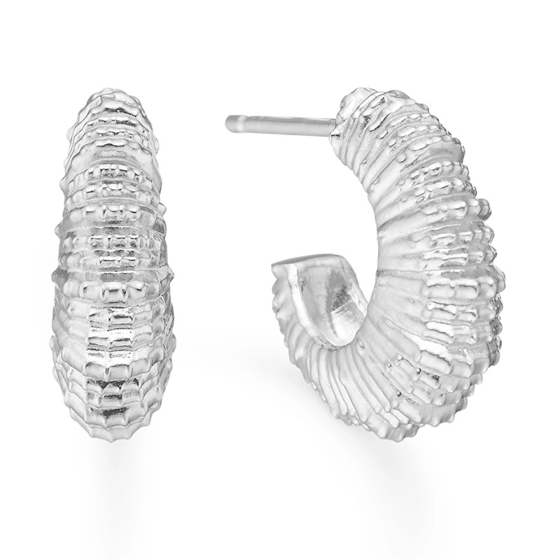 Studio Z Seashell Secrets Ohrstecker in Silber - Silber Ohrringe
