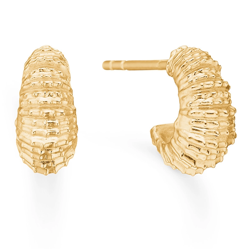 Studio Z Seashell Secrets Ohrstecker in vergoldetem Sterlingsilber - Ohrringe aus vergoldetem Silber – Große Auswahl an Ohrringen