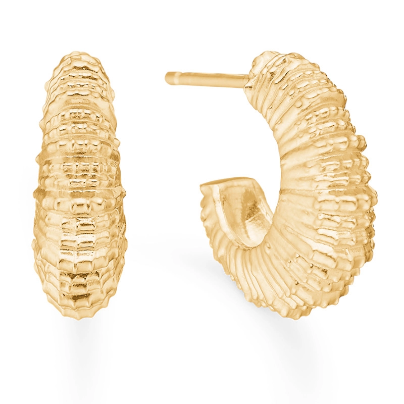 Studio Z Seashell Secrets Ohrstecker in vergoldetem Sterlingsilber - Ohrringe aus vergoldetem Silber – Große Auswahl an Ohrringen