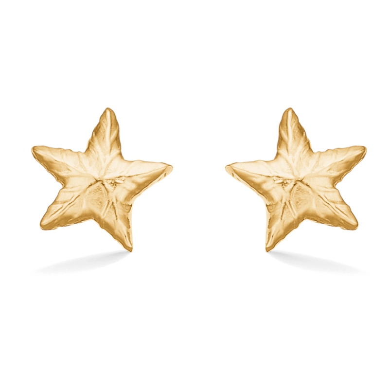 Studio Z Shiny Star Ohrringe in vergoldetem Sterlingsilber - Schmuck - Günstige Schmuck online kaufen hier auf Chanti