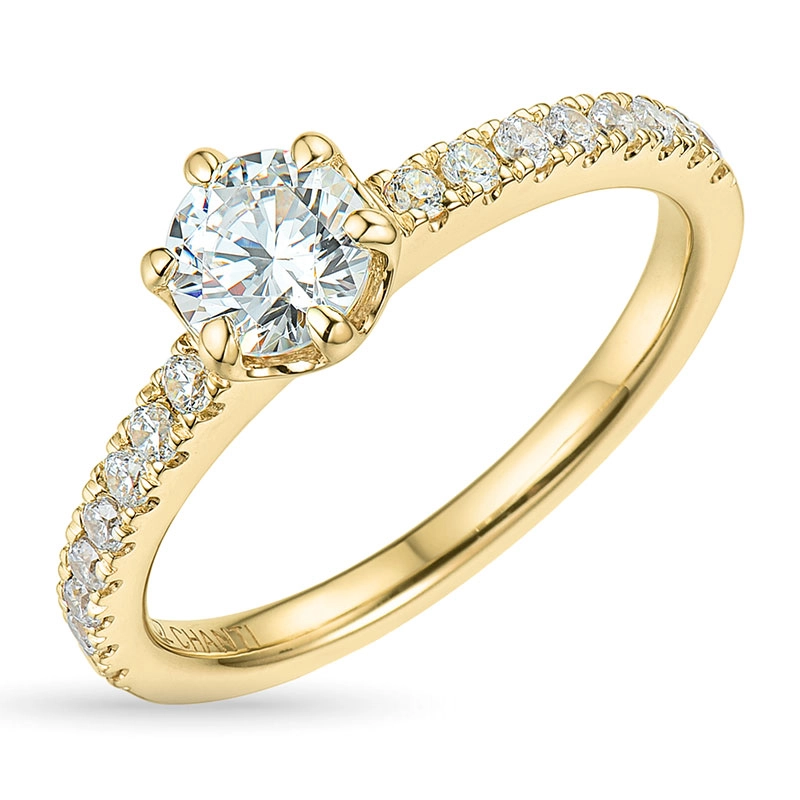 Zirkon Ring aus 9 Karat Gold - Zirkonia Ring - Finden Sie stilvollen Zirkon Ringe hier