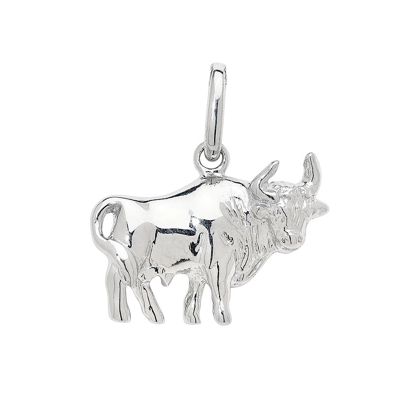 sternzeich stier Anhänger aus Silber - Sternzeichenanhänger - Schöne Anhänger mit Sternzeichen online