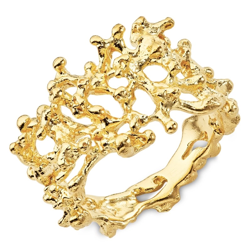 Ring aus vergoldetem Sterlingsilber - Schmuck - Günstige Schmuck online kaufen hier auf Chanti
