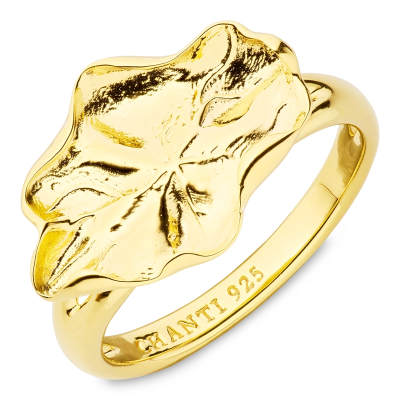 Ring aus vergoldetem Sterlingsilber - Lumé Essence - Ringe