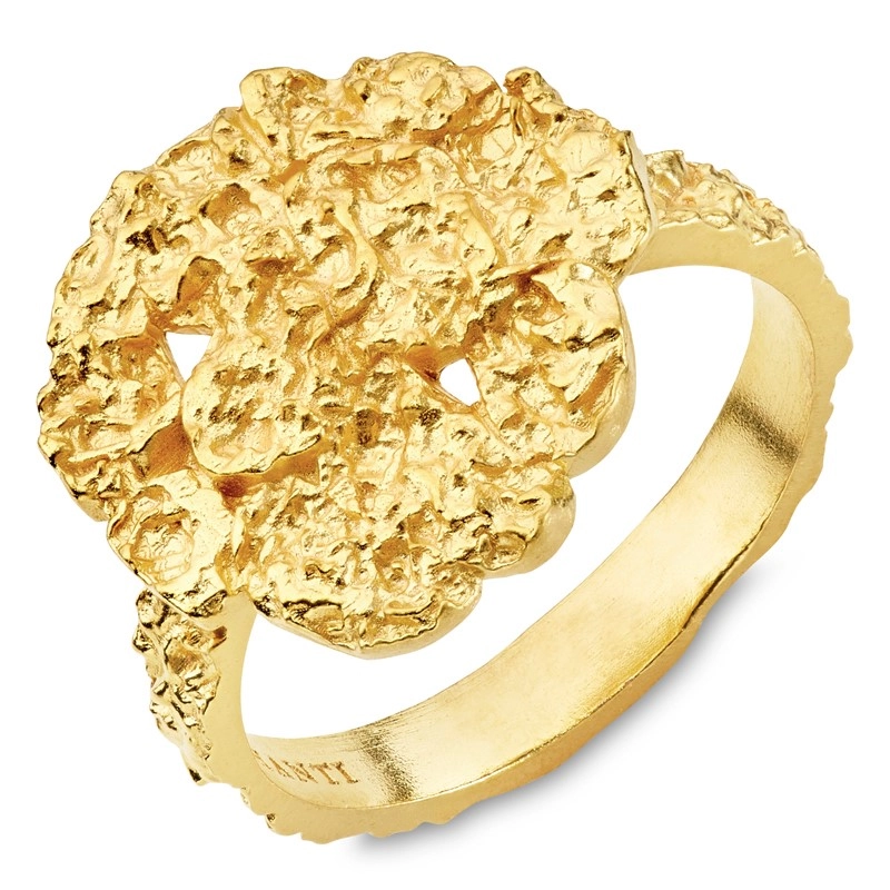 Ring aus vergoldetes Messing - Eliné - Schmuck - Günstige Schmuck online kaufen hier auf Chanti