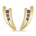 Amethyst Ohrringe in 14 Karat Gold mit Amethyst 