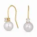 Tropfen Ohrringe in 9 Karat Gold mit Zirkon - Gold Collection
