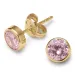 bezaubernder runden Ohrstecker in 9 Karat Gold mit Zirkon - Gold Collection