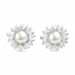 Blumen Ohrringe in Silber