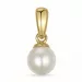 5 mm elfenbeinweiß Perle Anhänger aus 9 Karat Gold