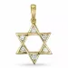 Davidstern Anhänger in 9 karat Gold- und Weißgold 0,19 ct