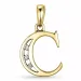 buchstab c Diamant Anhänger in 9 karat Gold 0,03 ct