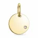 Diamant Anhänger in 9 karat Gold 0,01 ct