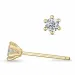 2 x 0,11 ct lab grown Diamant Solitärohrstecker in 9 Karat Gold mit lab grown Diamant 