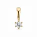 0,05 ct lab grown Diamant Solitäranhänger in 9 karat Gold 0,05 ct