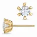 2 x 0,40 ct lab grown Diamant Ohrringe in 9 Karat Gold mit lab grown Diamant 