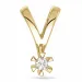 0,05 ct lab grown Diamant Anhänger in 14 karat Gold 0,05 ct