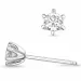 2 x 0,30 ct lab grown Diamant Solitärohrstecker in 14 Karat Weißgold mit lab grown Diamant 