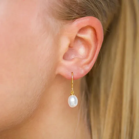 7-7,5 mm Perle Ohrringe in vergoldetem Silber