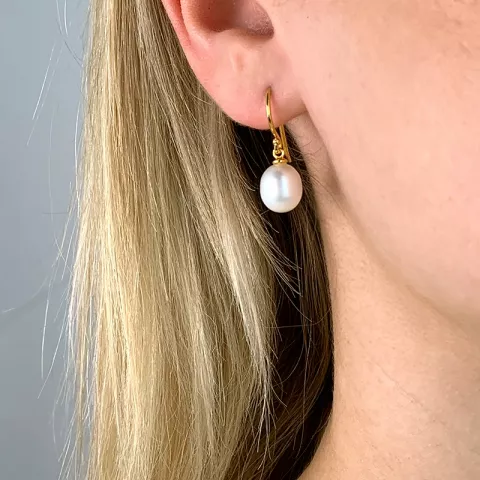 8-8,5 mm Perle Ohrringe in vergoldetem Silber
