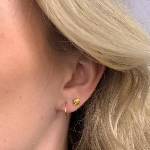 Ohrringe in vergoldetem Silber