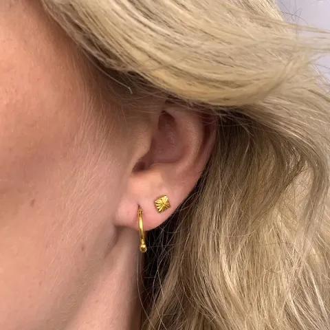 Kreolenohrringe in vergoldetem Silber