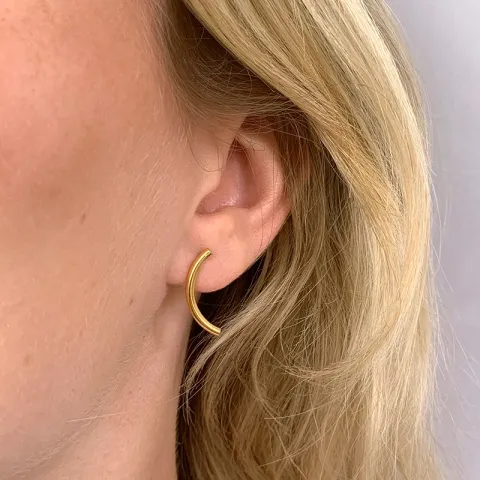 bezaubernder Ohrstecker in vergoldetem Silber