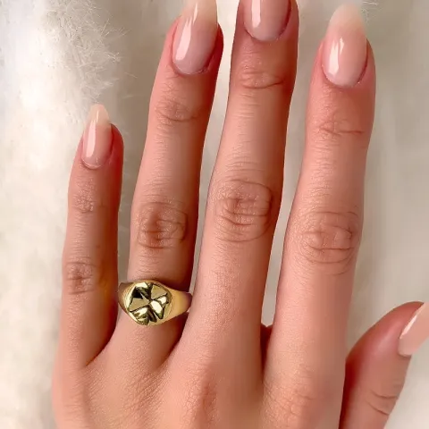 Ring mit Kratzern aus vergoldetem Sterlingsilber