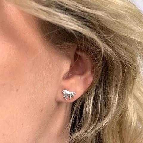 Ohrringe in Silber
