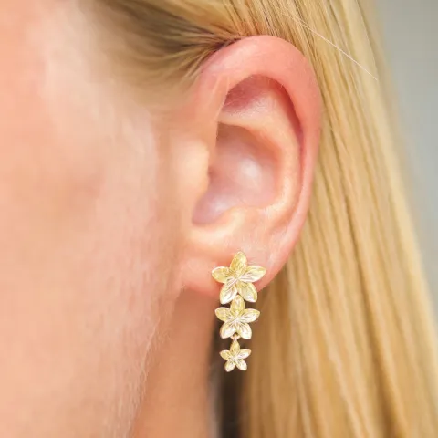 Nava Tiara Ohrringe in vergoldetem Sterlingsilber