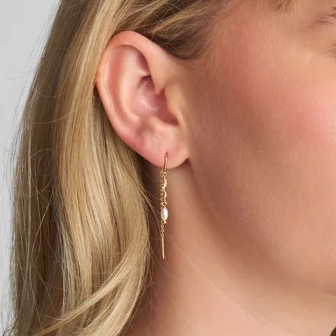 Studio Z Tangled Perle Ohrhänger in vergoldetem Sterlingsilber