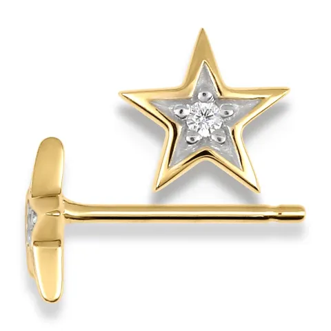 Stern Ohrringe in 9 Karat Gold mit Rhodium mit Zirkon