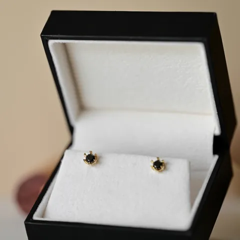 2 x 0,21 ct schwarzem Solitärohrstecker in 14 Karat Gold mit schwarz Diamant 