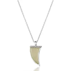 Horn Halskette aus Silber und Anhänger aus Silber