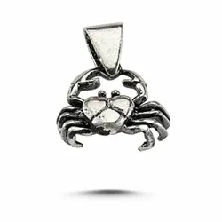 sternzeich krebs Anhänger aus Silber