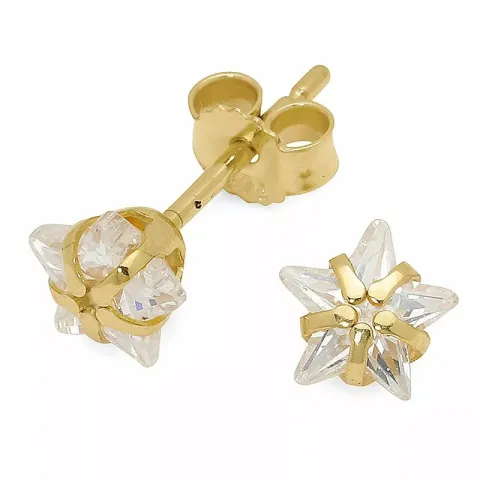 Stern Ohrstecker in 9 Karat Gold mit