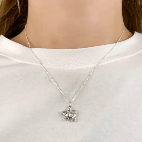 Sternzeich stier Anhänger aus Silber
