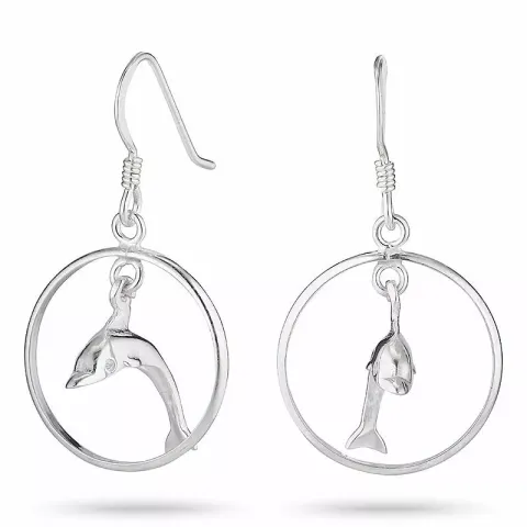 Runden delfin ohrringe in silber