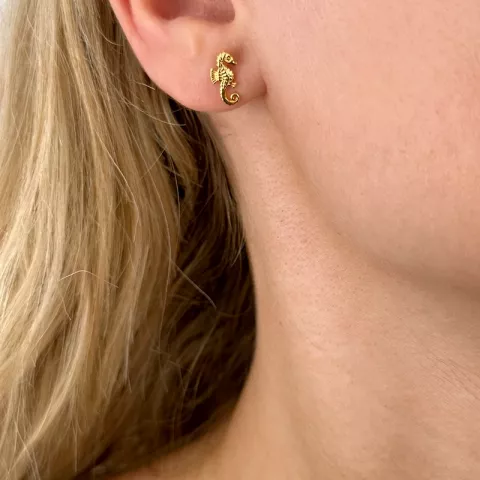 Seepferdchen Ohrringe in vergoldetem Silber