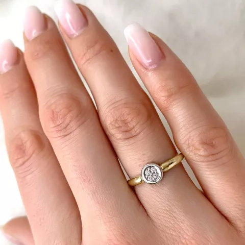 Diamant ring in 9 karat gold- und weißgold 0,06 ct
