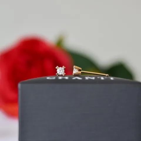 2 x 0,10 ct Kampagne - Diamant Solitärohrstecker in 14 Karat Gold mit Diamant 