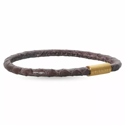 Runder braunem schlangenarmband aus leder mit vergoldetem stahl x 4 mm