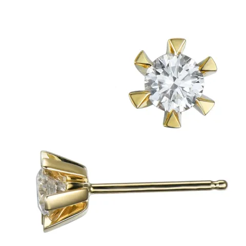 2 x 0,30 ct lab grown Diamant Ohrstecker in 9 Karat Gold mit lab grown Diamant 