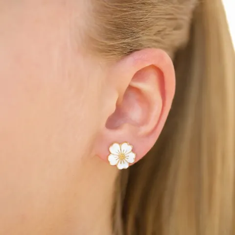 11 mm Vergissmeinnicht Ohrstecker in vergoldetem Sterlingsilber