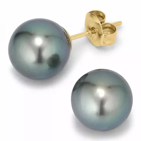 9,5-10 mm a-qualität tahiti perle ohrstecker in 14 karat gold