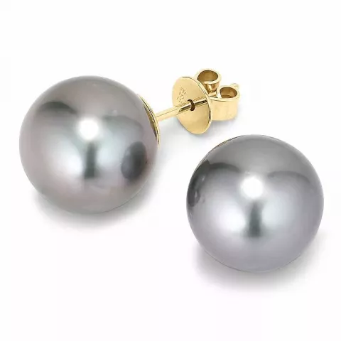 10 - 11 mm a-qualität tahiti perle ohrstecker in 14 karat gold