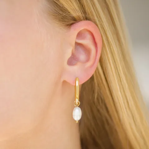 Wasserfester Perle Kreole in vergoldetem Stahl - OCEANA