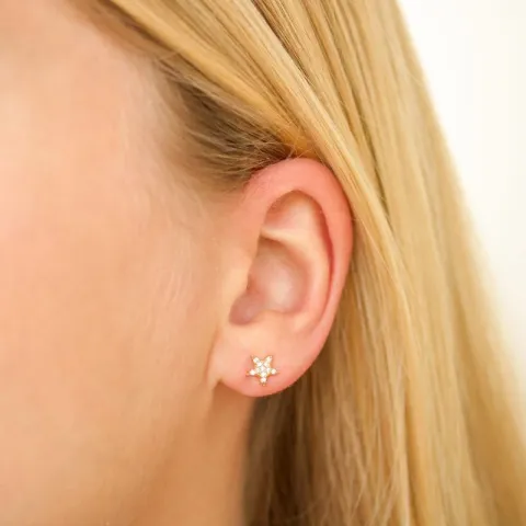 Stern Zirkon Ohrringe in vergoldetes Messing - Eliné