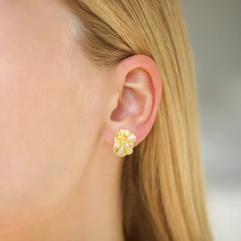 Ohrringe in vergoldetes Messing - Eliné