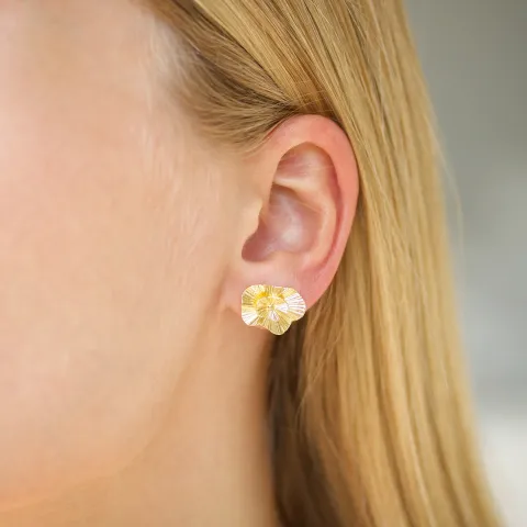 Ohrringe in vergoldetes Messing - Eliné